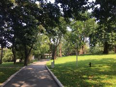 -晓港公园