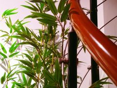 -乐悠琴馆·古琴古筝