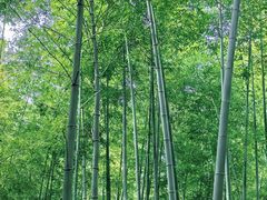 -陶祖圣境风景区