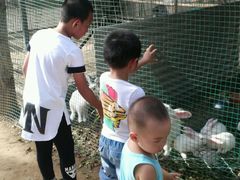 -草根堂农场