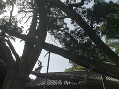 -晋祠公园