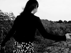 -合肥滨湖国家森林公园