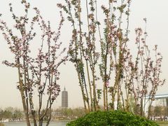 景点-西海子公园