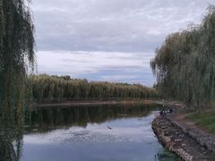 -东坝千亩湖公园