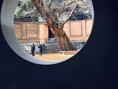 -惠山古镇·寄畅园