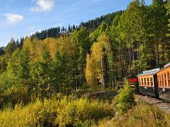 -莫尔道嘎国家森林公园