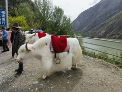 -叠溪松坪沟景区