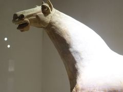 -宁夏博物馆