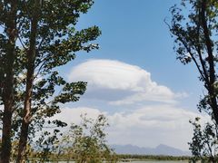 -野鸭湖国家湿地公园