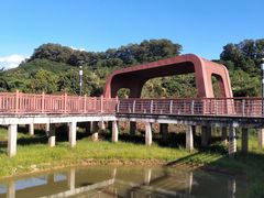 -立新湖公园