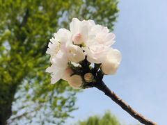 -签味爽成都老火锅串串(窑头路店)