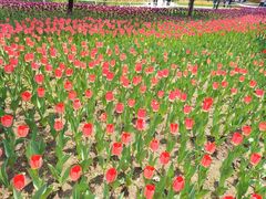 -长春公园(普阳街道)