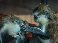 -乐和乐都主题乐园