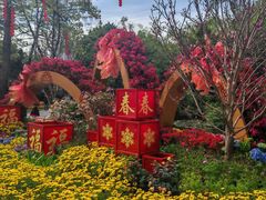 -晓港公园