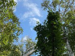 -长春市南湖公园