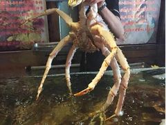 -蟹之国·精品蟹料理(极地店)