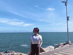 -广东惠东海龟国家级自然保护区