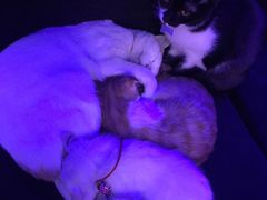 -星宿秘码(鼓浪屿老店)