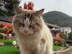 -潭柘寺景区