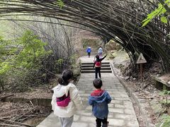 -铁山坪森林公园