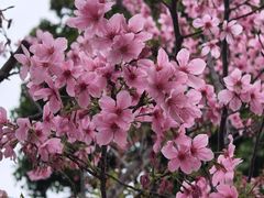 -梵天禅寺