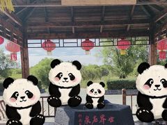 -北药泉