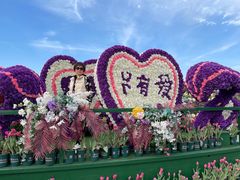 -荷兰花海