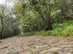 -狼山风景名胜区