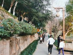 -重庆彩云湖湿地公园