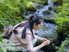 -五营红松林海景区