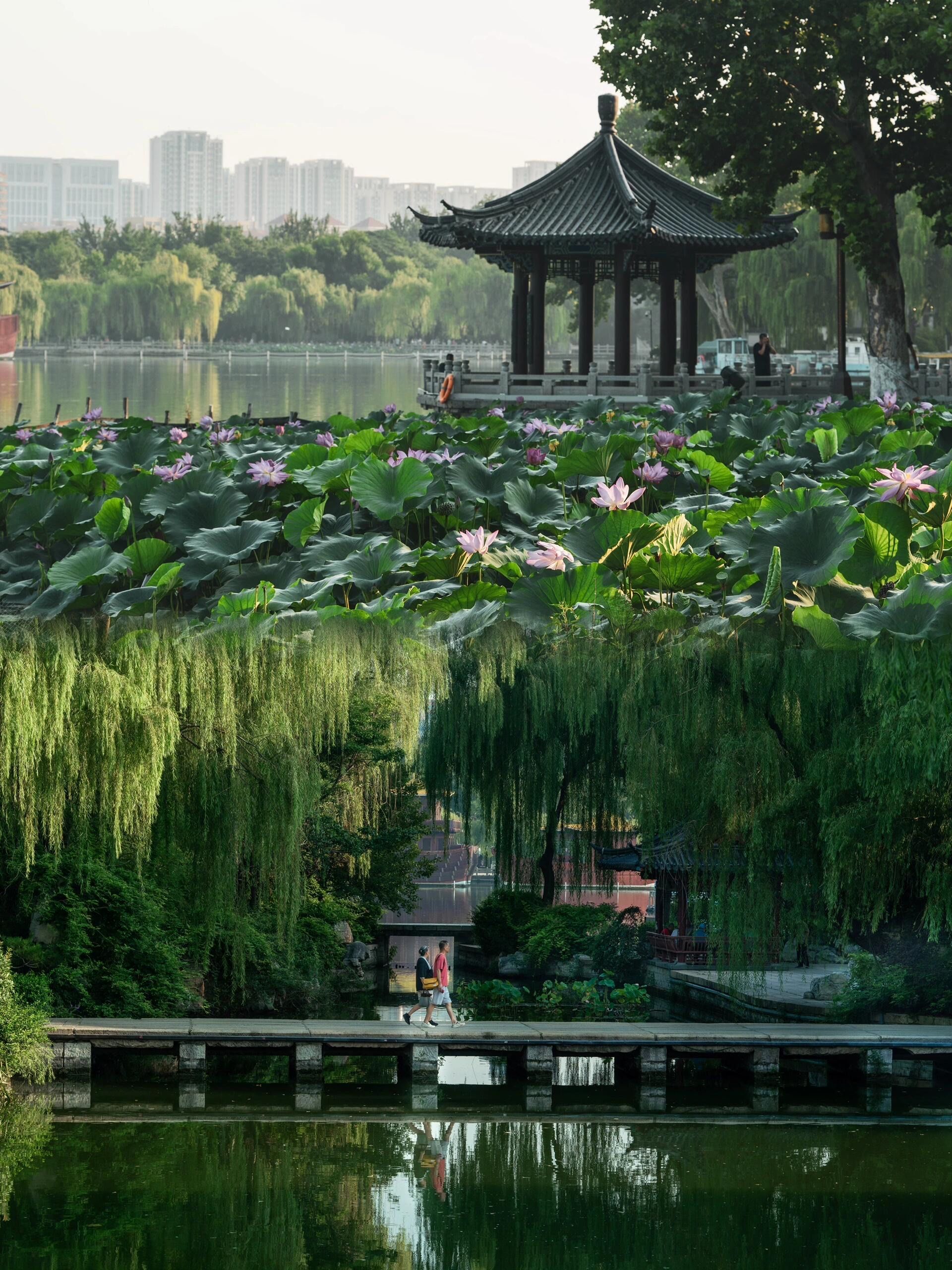 大明湖不仅有夏雨荷03还有人挤人的超然楼97