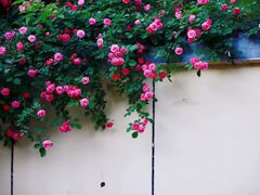 -颐和路民国时期公馆-风貌区