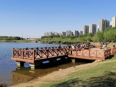 -丁香湖公园