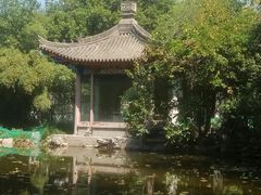 -莲湖公园