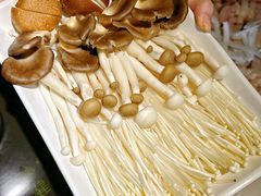 -百年果林椰子鸡(中洲店)