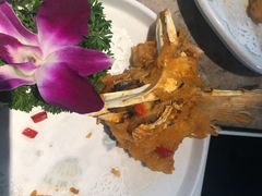 -淘米捞·米汤脆鲩鱼火锅(福田皇岗店)