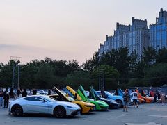 -枫花园汽车电影院(朝阳公园店)