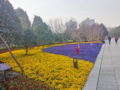 -上海市龙华烈士陵园