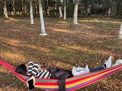 -艾溪湖湿地公园