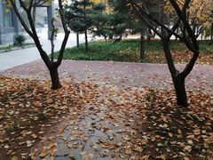 -北京工商大学(良乡校区)