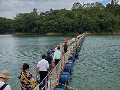 -广州市流溪河国家森林公园