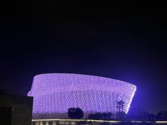 -福州海峡文化艺术中心