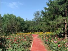 -绿堤公园