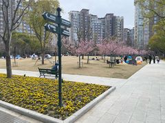 -新江湾城公园