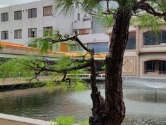 -番禺宾馆丽苑厅