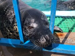 -北戴河圣蓝海洋公园