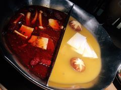 红颜花胶鸡锅-湊湊火锅·茶憩(杭州湖滨银泰in77店)