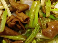 -瑞记湛江鸡饭店·粤西第一鸡(粤垦店)