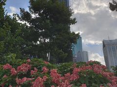 -荔枝公园(福田区)