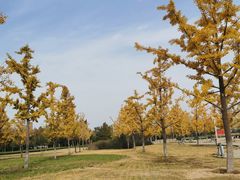 -济南国际园博园